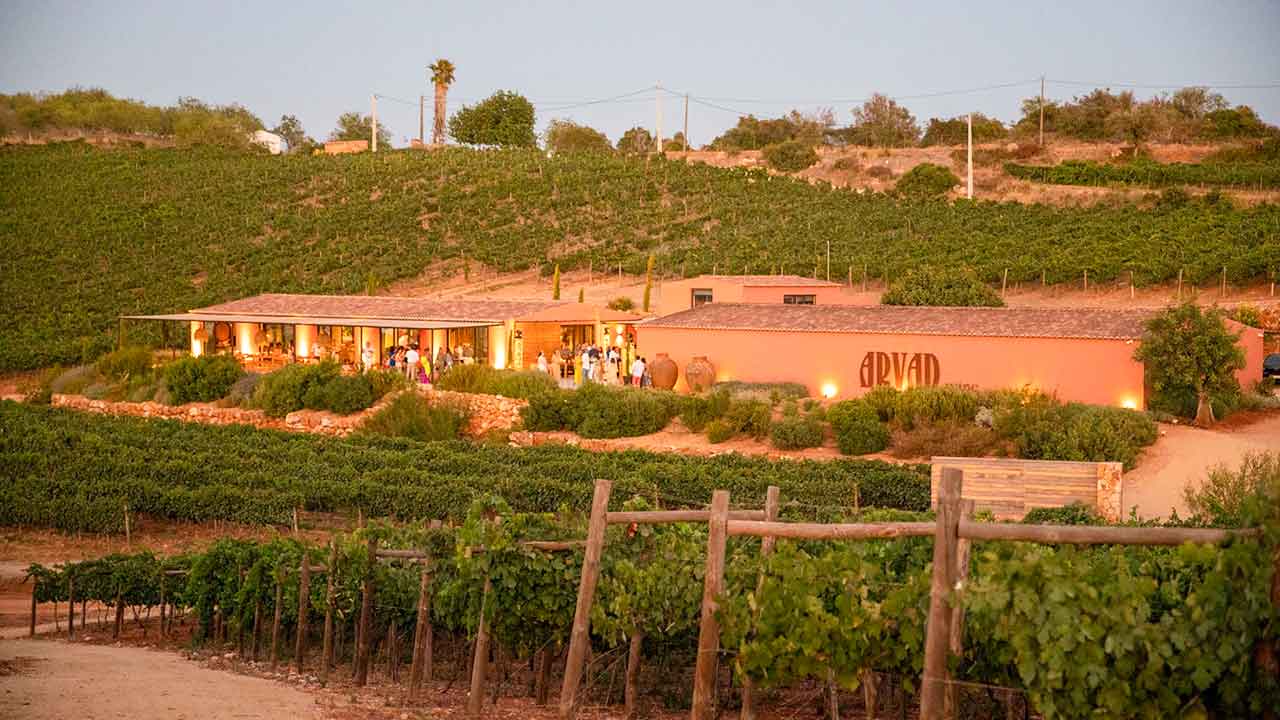 Nas margens do rio Arade, o Arvad oferece provas de vinho premium, sunset sessions e experiências de enoturismo.