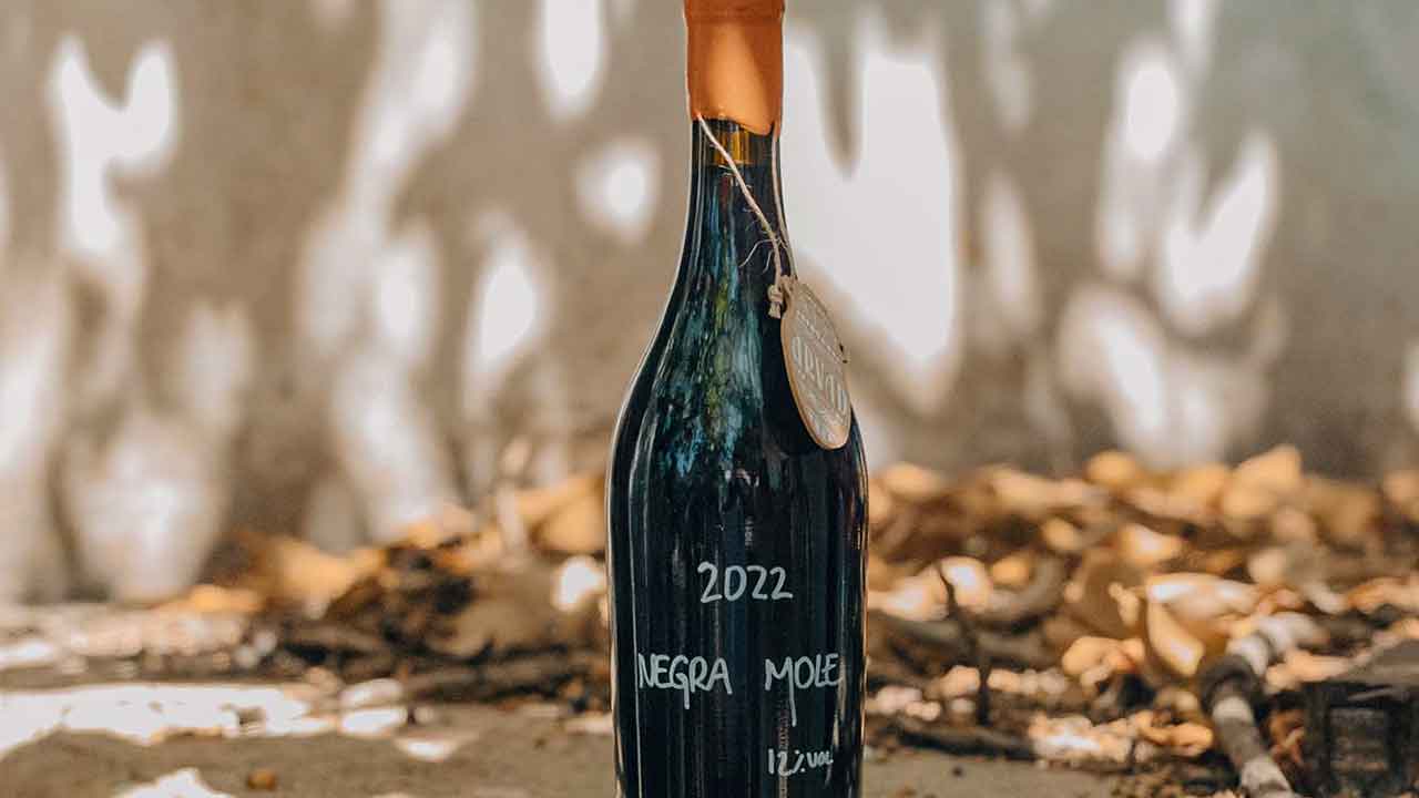 Nas margens do rio Arade, o Arvad oferece provas de vinho premium, sunset sessions e experiências de enoturismo.