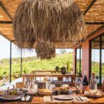 Nas margens do rio Arade, o Arvad oferece provas de vinho premium, sunset sessions e experiências de enoturismo.