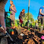 O projeto Biggest Mini Forest, já supera as 40 áreas no Algarve dedicadas a esta prática. Objetivo é regenerar solos e a biodiversidade.