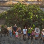O projeto Biggest Mini Forest, já supera as 40 áreas no Algarve dedicadas a esta prática. Objetivo é regenerar solos e a biodiversidade.