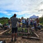 O projeto Biggest Mini Forest, já supera as 40 áreas no Algarve dedicadas a esta prática. Objetivo é regenerar solos e a biodiversidade.