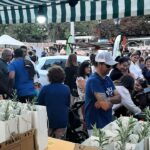 Loulé acolhe a Feira do Ambiente e Vegan do Algarve (FAVA), de 20 a 22 de setembro, com mais de 100 expositores de várias áreas.