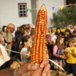 Evento popular «A Nossa Cultura» volta a sair à rua na Mexilhoeira Grande, Portimão, no sábado, dia 21 de setembro.