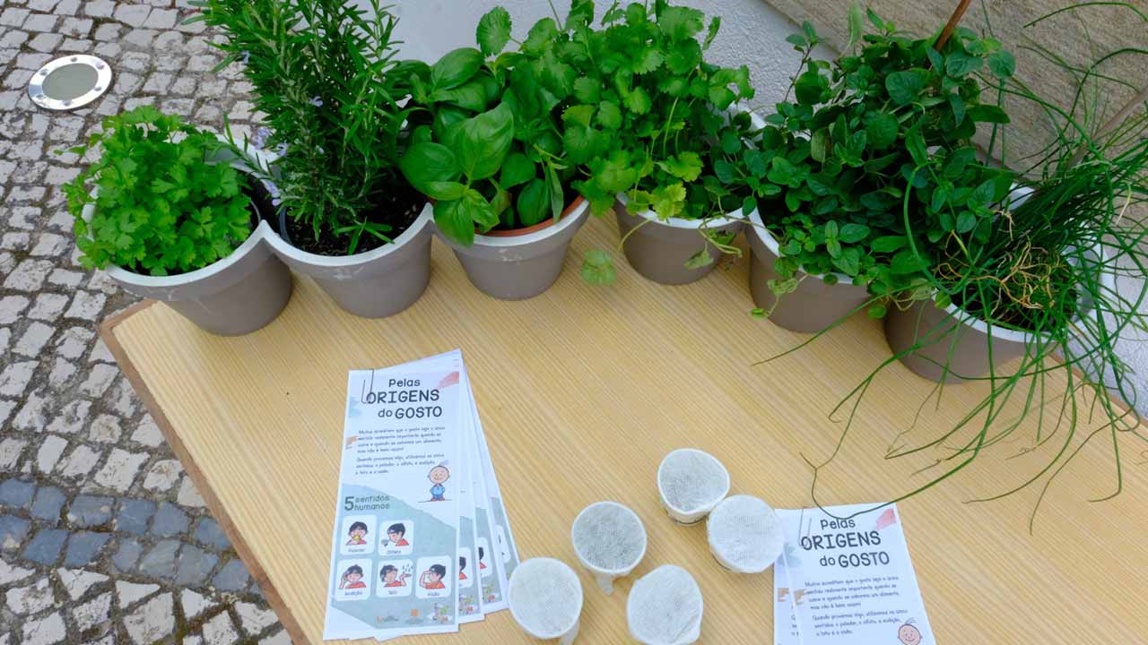 As Jornadas Europeias do Património vão ser assinaladas em São Brás de Alportel, até ao dia 29 de setembro, com um programa pensado para todas as idades.