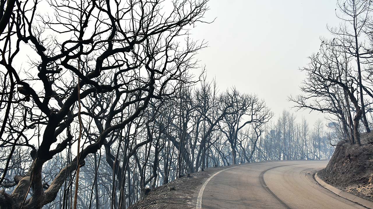 O governo declarou Situação de Alerta para todo o território do continente a partir das 13h00 de hoje e até às 23h59 de terça-feira com medidas excecionais devido ao agravamento do perigo de incêndios rurais.