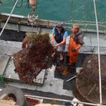 A Marina de Albufeira juntou uma centena de voluntários no programa «Vamos Limpar Terra e Mar», onde se recolheram 500 kg de resíduos na operação de limpeza subaquática e terrestre.