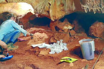 Dia aberto na Gruta da Companheira, organizado pelo Museu de Portimão, permitirá conhecer vestígios da ocupação pelo homem de Neandertal.