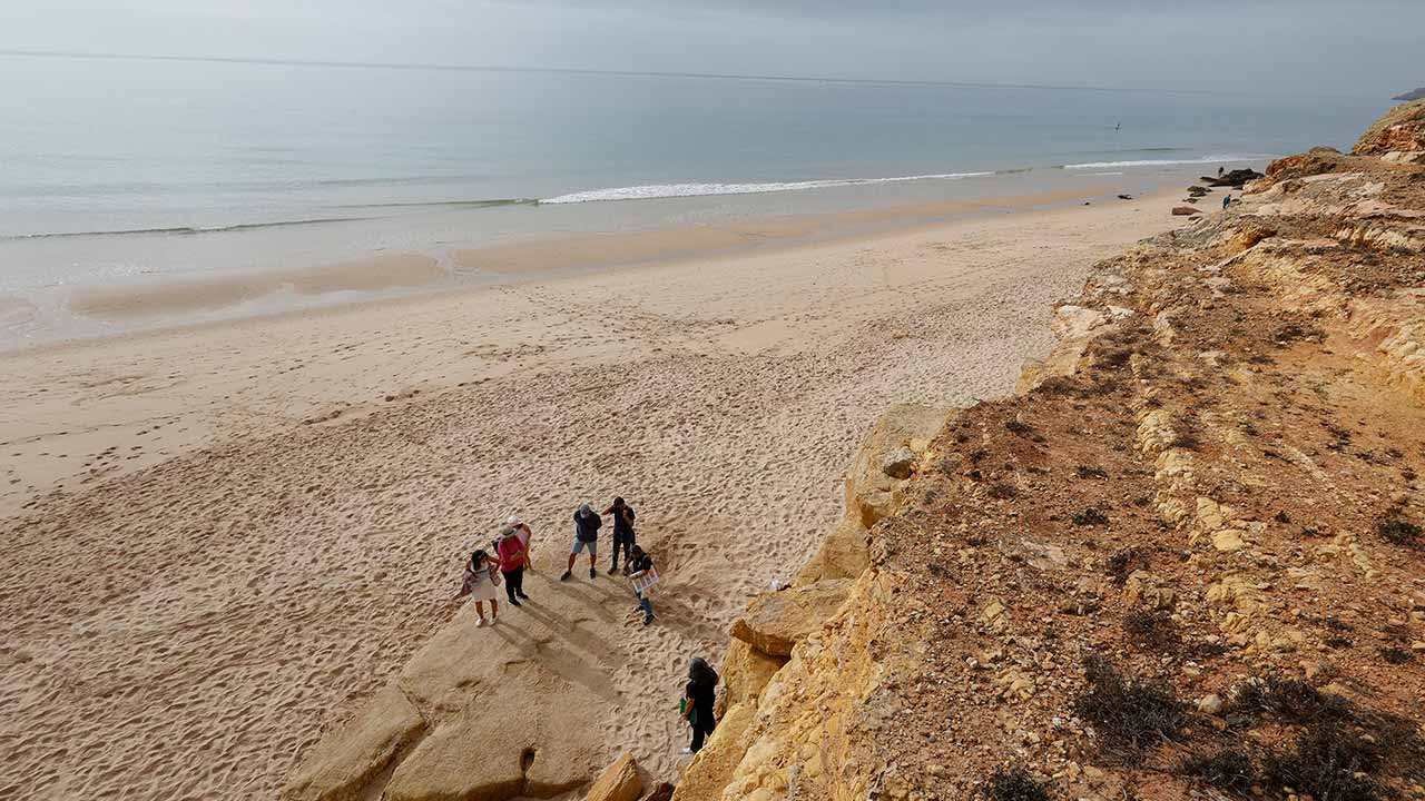 A 15.ª edição do Festival de Observação de Aves & Atividades de Natureza juntou 1300 participantes de 29 nacionalidades em Sagres, local onde se identificaram 146 espécies diferentes, uma delas rara.