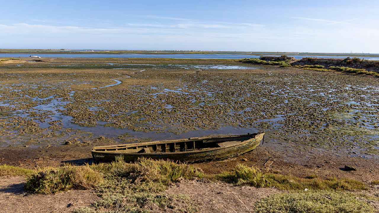 Reabilitação da zona Poente de Olhão está no terreno com duas intervenções que vão dotar a cidade de novos espaços de fruição à beira da Ria Formosa.