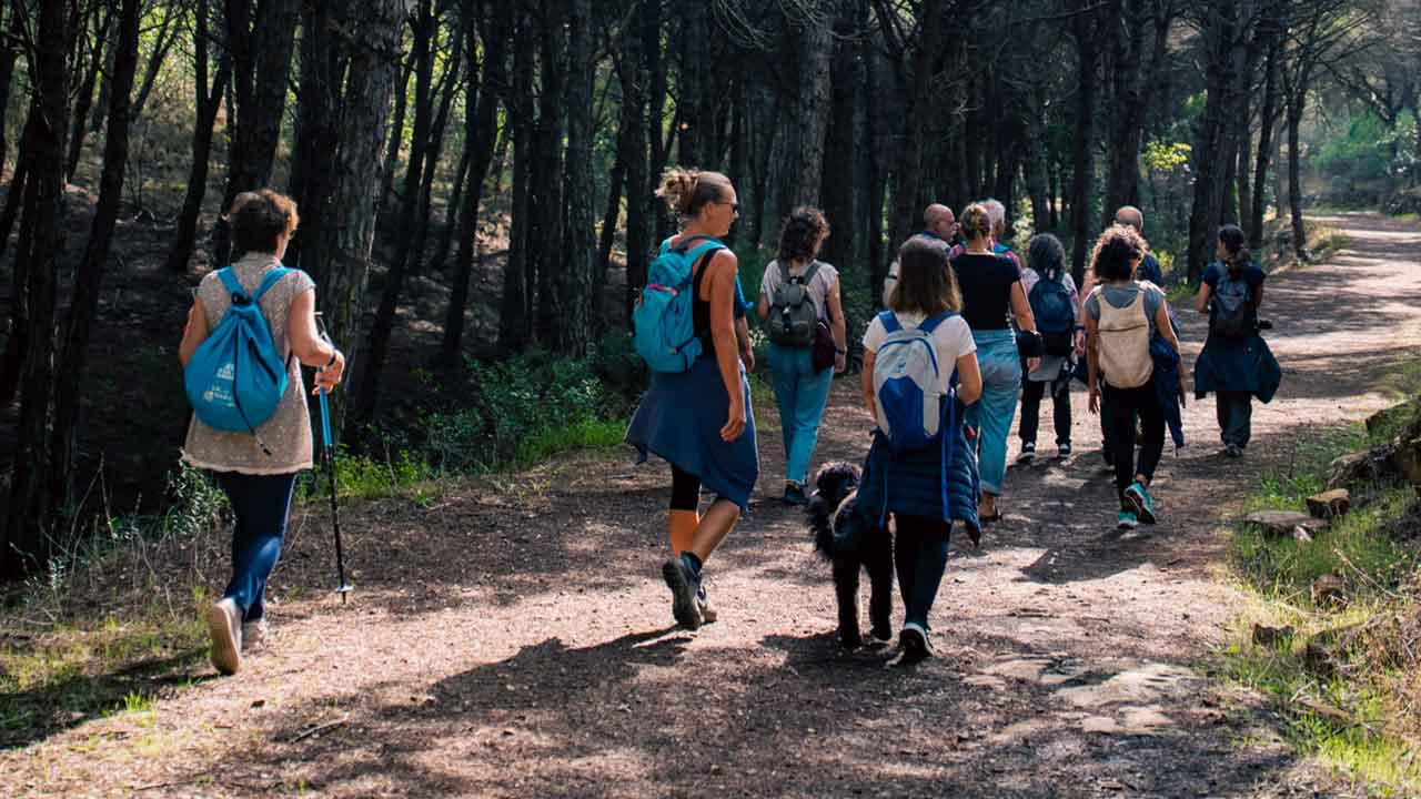 O 7.º Barão de São João - Walk & Art Fest juntou 950 participantes de 30 nacionalidades e de quatro continentes ao redor de 118 atividades.
