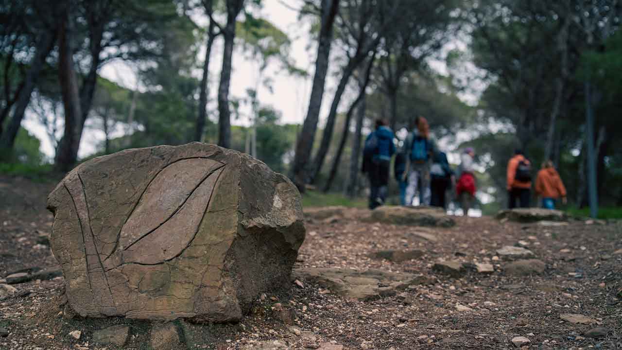 O 7.º Barão de São João - Walk & Art Fest juntou 950 participantes de 30 nacionalidades e de quatro continentes ao redor de 118 atividades.