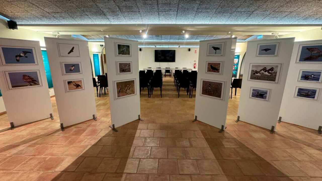 Com entrada gratuita, o Centro de Interpretação da Lota de Sagres já abriu portas ao público e encontra-se a funcionar com horário regular.