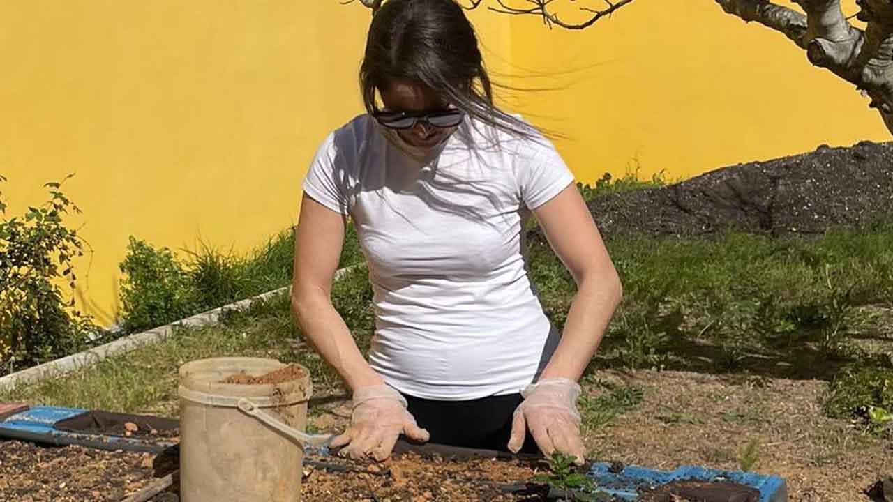 A Escola de Hotelaria e Turismo do Algarve (EHTA), em Faro, acolhe uma mostra de produtos locais com sessão de showcooking no âmbito do projeto GrowLIFE, na quinta-feira, dia 28 de novembro.