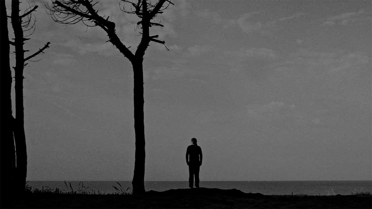 Com composições de Marco Martins e um elenco de luxo, «LUZ» assume-se como um projeto transmedia que une poesia, música e vídeo numa performance.