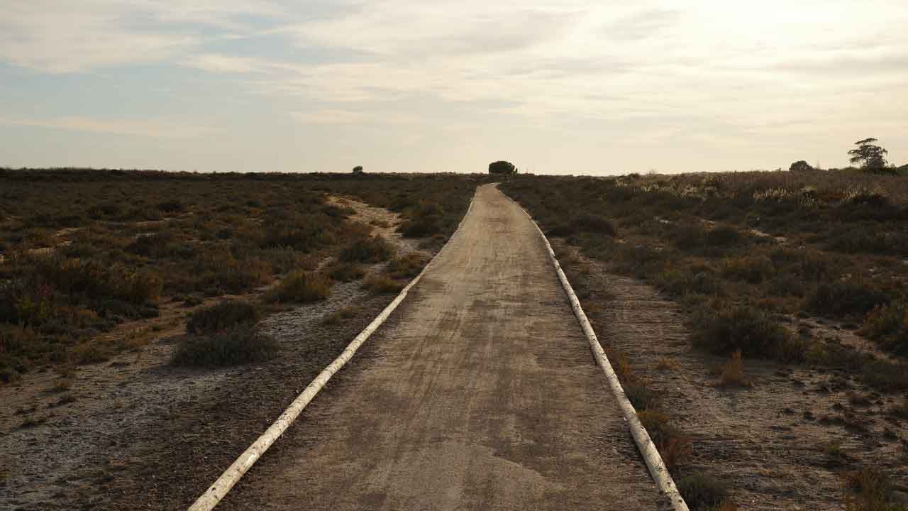 A Ecovia Litoral do Algarve vai ganhar mais um percurso com a inauguração da Ecovia Bias, em Olhão, com inauguração marcada com uma atividade para a família.