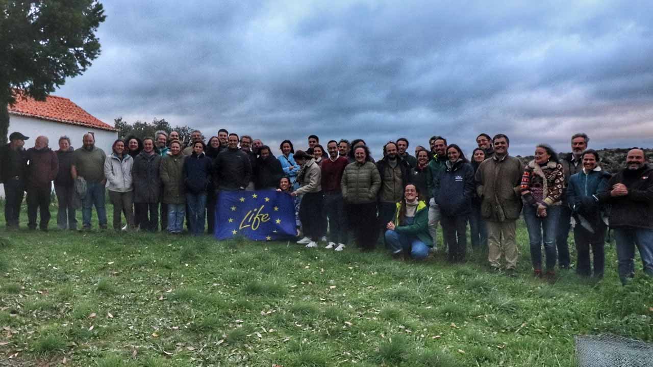 Já arrancou o projeto LIFE SOS Pygargus, com o objetivo de salvar o tartaranhão-caçador e promover a produção cerealífera em Portugal e em Espanha, unindo 17 parceiros, um deles a Associação Vita Nativa.