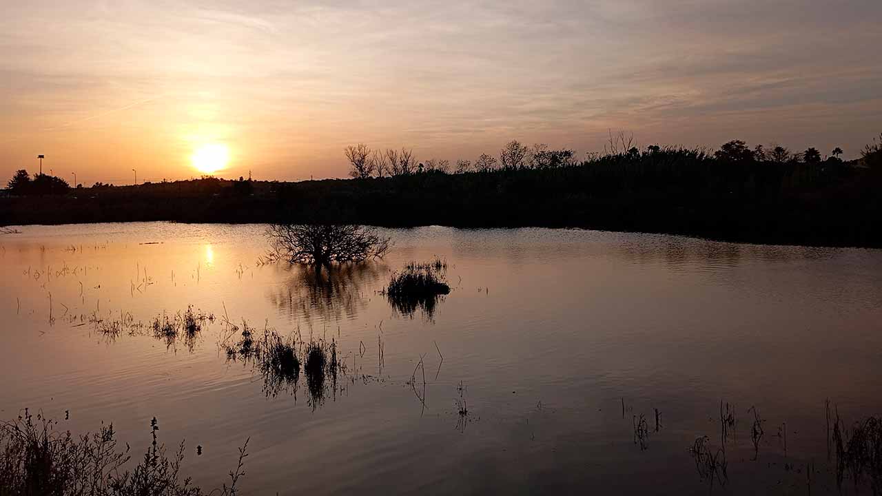 A riqueza natural das Alagoas Brancas, como aves, répteis, mamíferos e flora, pode agora ser conhecida ao pormenor no novo website lançado pela Associação Almargem.