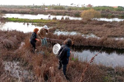 A riqueza natural das Alagoas Brancas, como aves, répteis, mamíferos e flora, pode agora ser conhecida ao pormenor no novo website lançado pela Associação Almargem.