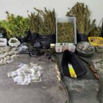 Um homem de 59 anos foi detido pela GNR por cultivo de canábis e posse de arma proibida, em Tavira, após uma investigação que decorria há dois meses.
