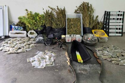 Um homem de 59 anos foi detido pela GNR por cultivo de canábis e posse de arma proibida, em Tavira, após uma investigação que decorria há dois meses.