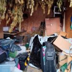 Um homem de 59 anos foi detido pela GNR por cultivo de canábis e posse de arma proibida, em Tavira, após uma investigação que decorria há dois meses.