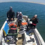 Investigadores do Centro de Ciências do Mar (CCMAR) da Universidade do Algarve (UAlg) participaram num estudo internacional onde saquetas de chá foram utilizadas como dispositivo de medição de taxas de decomposição de matéria orgânica, foi hoje anunciado.