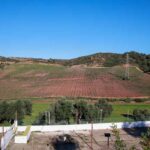Várias organizações ambientalistas alertam para os riscos ambientais e sociais de permitir a construção em terrenos rústicos, destacando alternativas sustentáveis para resolver a crise habitacional sem comprometer recursos naturais essenciais.