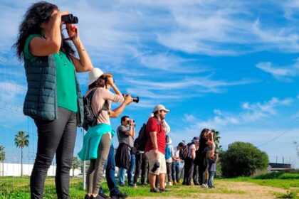 Para assinalar o Dia Mundial das Zonas Húmidas, as Alagoas Brancas vão ser palco de atividades abertas para todos, num evento incluído no calendário mundial da comemorações da data.