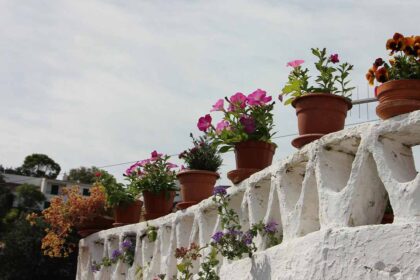 Odeleite vai voltar a transformar-se numa «Aldeia Florida» com os habitantes a decorarem as ruas com flores e convidando os curiosos a visitar a aldeia.