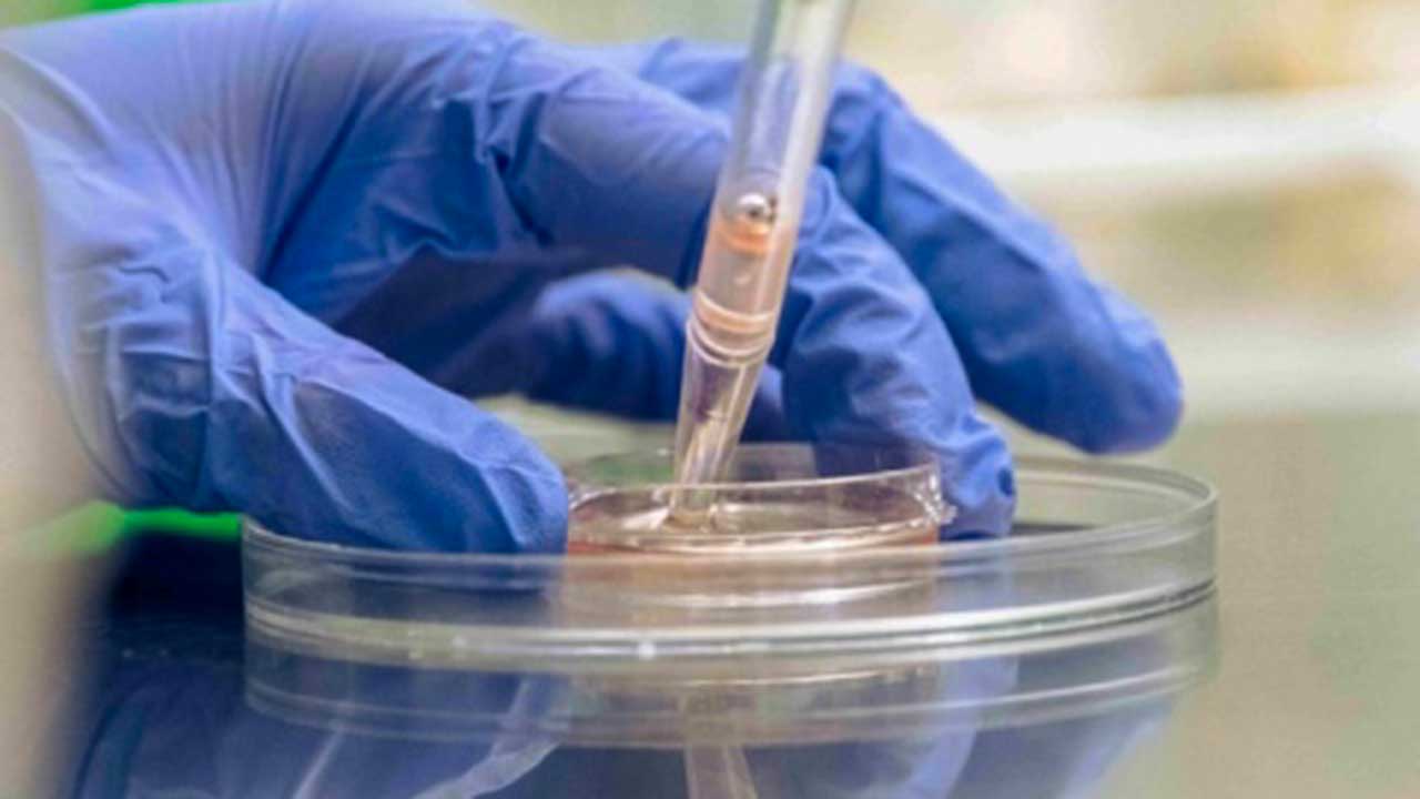 O Instituto de Pesquisa do Centro Biomédico do Algarve (ABC-Ri) lançou uma campanha de angariação de fundos para financiar a investigação da relação entre a disfunção do sistema imunitário e perturbações da saúde mental, informou aquela entidade.