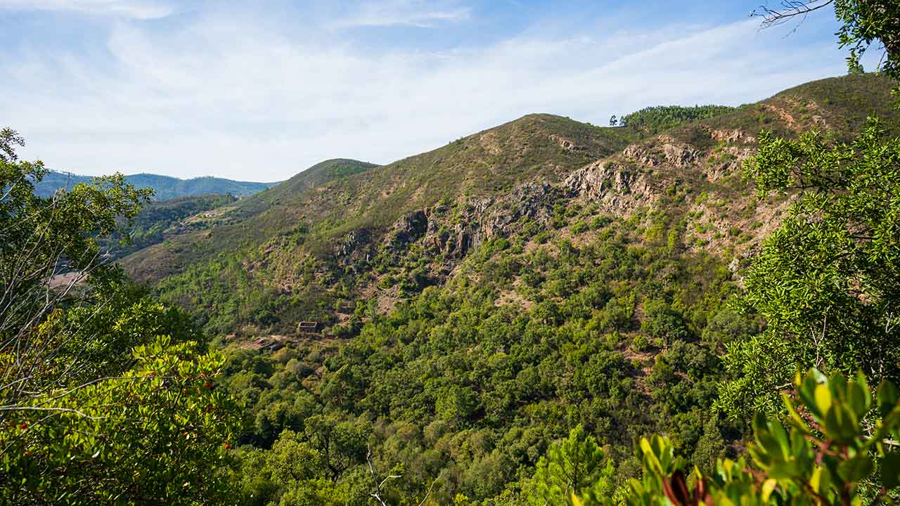 Governo aprova Operação Integrada de Gestão da Paisagem (OIGP) Área Piloto - Corredor Verde de Monchique com investimento superior a 2,4 milhões de euros.