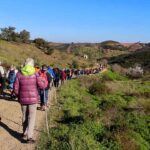 A localidade de Alta Mora volta, no concelho de Castro Marim, volta a receber mais uma edição do Festival das Amendoeiras em Flor do Algarve, entre os dias 31 de janeiro e 2 de fevereiro.