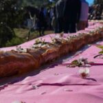 A localidade de Alta Mora volta, no concelho de Castro Marim, volta a receber mais uma edição do Festival das Amendoeiras em Flor do Algarve, entre os dias 31 de janeiro e 2 de fevereiro.