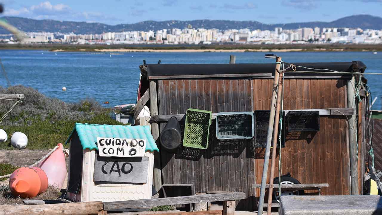 Alguns dos moradores do extremo nascente da Praia de Faro não estão dispostos a abandonar as suas casas, consideradas clandestinas, reclamando os mesmos direitos concedidos à comunidade piscatória da Ilha da Culatra.