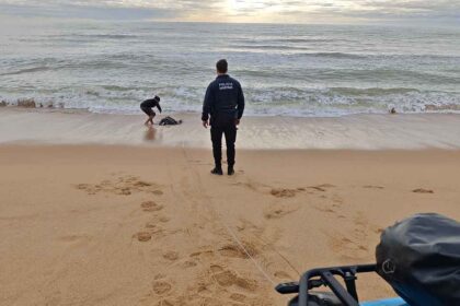 Mais de 200 bidões de combustível associados ao tráfico de droga foram recolhidos nas praias do Algarve, na última semana, pela ONG Brigada do Mar.