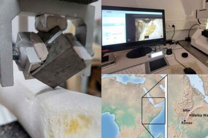 Um novo estudo da Universidade do Algarve (UAlg) publicado na revista científica PLOS ONE explora os processos de tomada de decisão, durante a pré-história antiga, na seleção de materiais para uso de ferramentas.