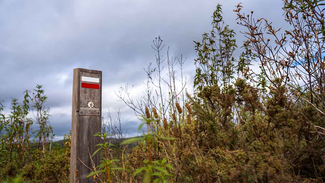 O site e a aplicação da Via Algarviana passam, a partir de hoje, a ter toda a informação disponível em espanhol, ficando mais acessível aos visitantes do país vizinho.