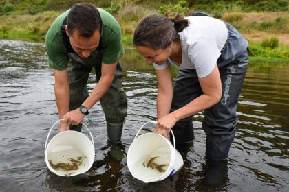 Quase um quarto (24%) das espécies da fauna de água doce, incluindo crustáceos, peixes e insetos, enfrentam «risco elevado de extinção» devido à destruição de habitats pela poluição, barragens e agricultura intensiva..