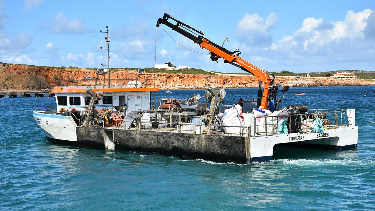 A proposta de alargamento de áreas de aquacultura ao largo de Sagres foi rejeitada pela tutela, segundo avança Cristóvão Norte, deputado do PSD eleito pelo Algarve.