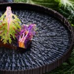 O Guia Michelin Portugal 2025 voltou a reconhecer o restaurante Ocean, no Vila Vita Parc, em Lagoa, reafirmando a sua posição como um dos mais distintos destinos de fine dining em Portugal, mantendo as suas duas estrelas Michelin.