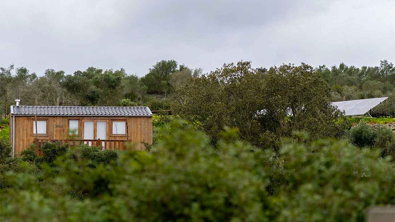 Advogado Alexander Rathenau disserta sobre o Faroeste da proliferação descontrolada de milhares de construções ilegais no Algarve.