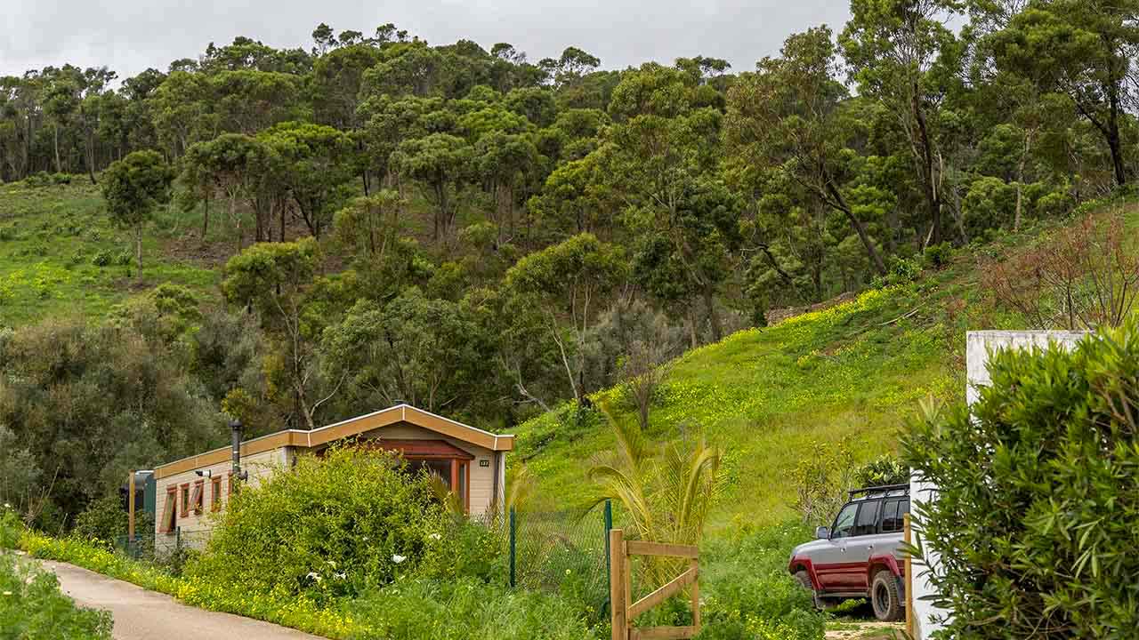 Advogado Alexander Rathenau disserta sobre o Faroeste da proliferação descontrolada de milhares de construções ilegais no Algarve.