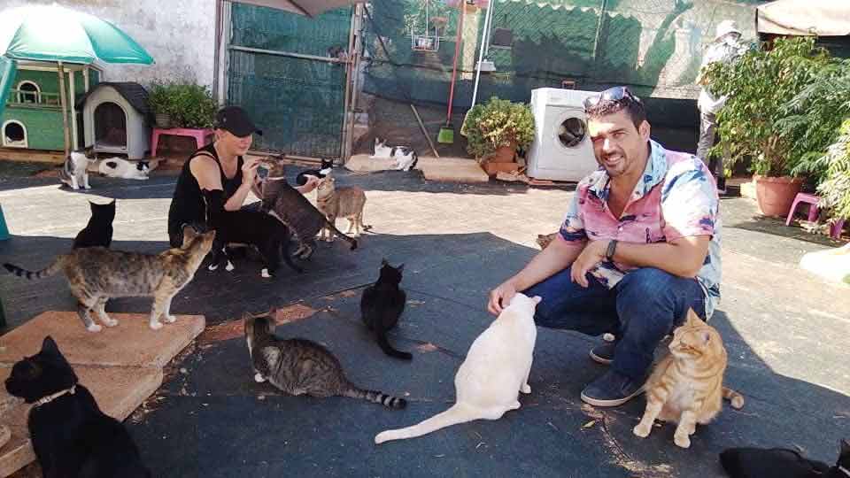 Alexandre Pereira propõe uma iniciativa inédita para assinalar o Dia Mundial dos Animais de Rua, em Olhão, a 4 de abril.