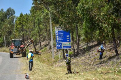 A Guarda Nacional Republicana (GNR) já sinalizou este ano 7.192 terrenos para serem limpos no âmbito da Campanha Floresta Segura 2025, que visa a prevenção dos incêndios florestais, informou hoje à Lusa a autoridade.