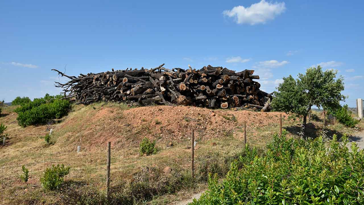 A Guarda Nacional Republicana (GNR) já sinalizou este ano 7.192 terrenos para serem limpos no âmbito da Campanha Floresta Segura 2025, que visa a prevenção dos incêndios florestais, informou hoje à Lusa a autoridade.