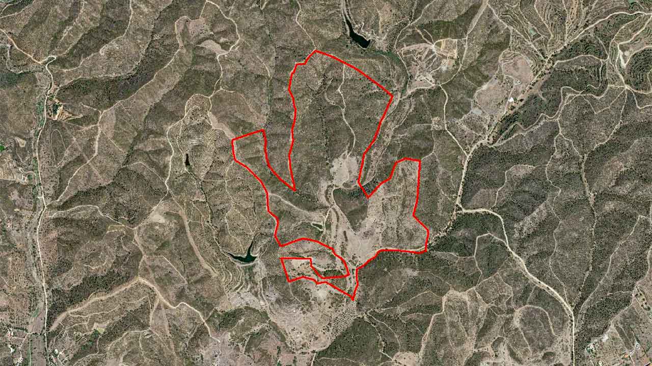 O estudo de impacte ambiental da Quinta do Pateiro, em Silves (Faro), que prevê a construção de um aldeamento turístico de «alta qualidade» com 600 camas, está em consulta pública até 24 de abril.