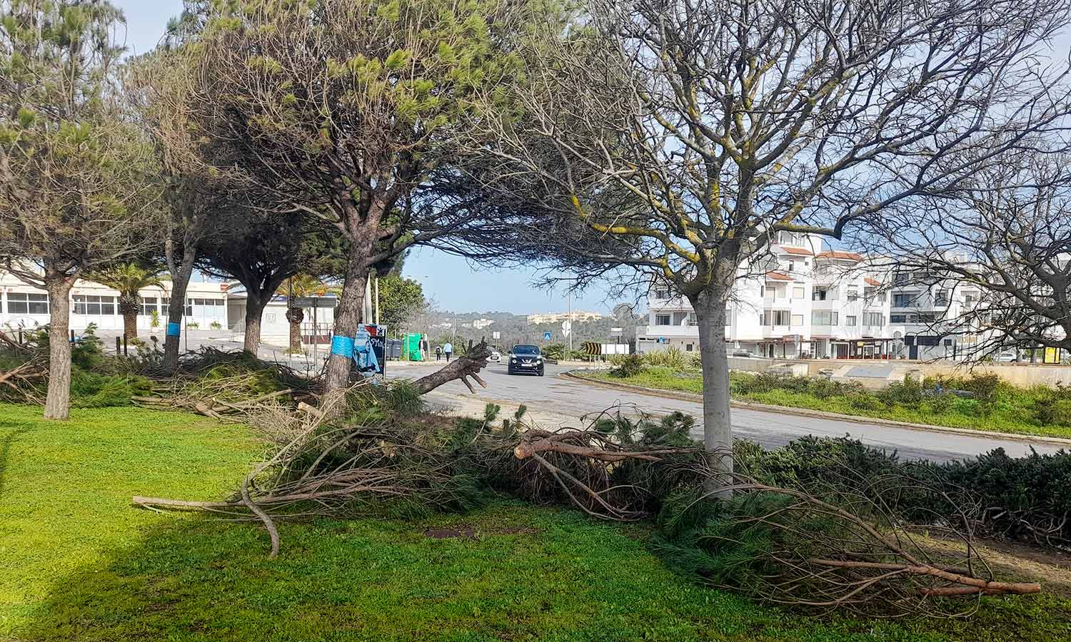 A depressão Martinho passou esta noite pelo Algarve, onde o principal problema foi o vento, que provocou quedas de árvores e estruturas amovíveis.
