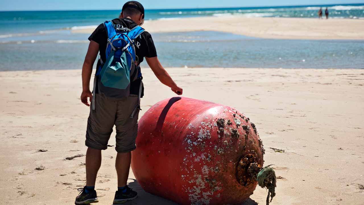 O areal entre a Barrinha e a praia do Almargem foi alvo de uma ação de descontaminação por parte da Brigada do Mar, onde se recolheram 2500 kg, na sua maioria provenientes da atividade piscatória.