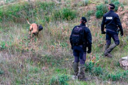 A mulher de nacionalidade italiana que se encontrava desaparecida em Monchique foi encontrada na manhã de hoje pela GNR, caída numa zona rural e em estado de choque.